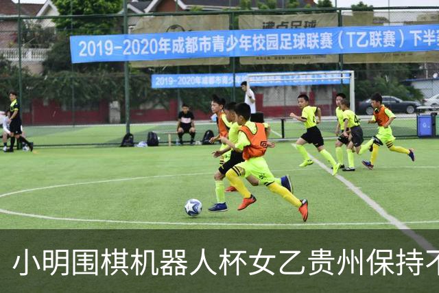 小明围棋机器人杯女乙贵州保持不败 内蒙古领跑丙组
